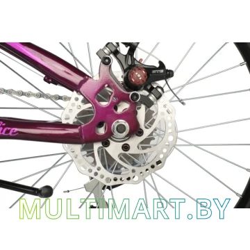Детский велосипед Novatrack Aliсe 6.D 20SH6D.ALICE.PR21 (фиолетовый, 2021) картинка 4
